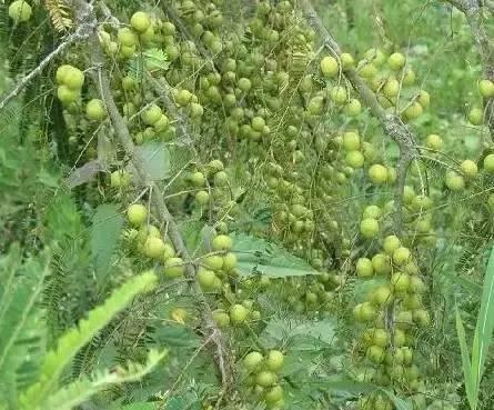 海南,热带天堂与绿色发展的和谐交响