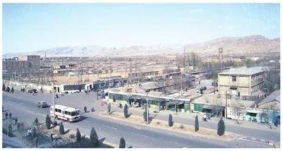 乌海深巷秘境，探秘乌海特色小店花园